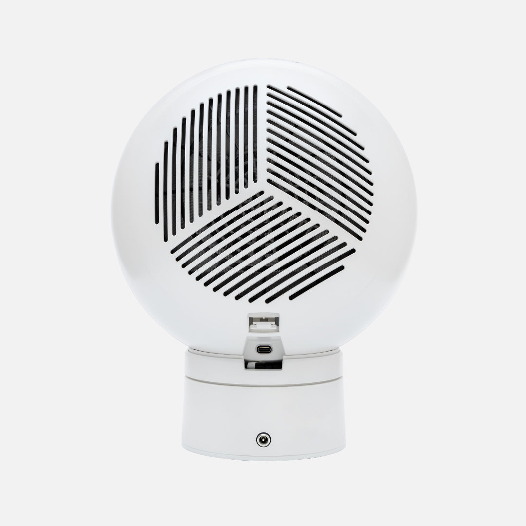 Bladeless Air Purifying Ball Fan with nanoe® X Technology