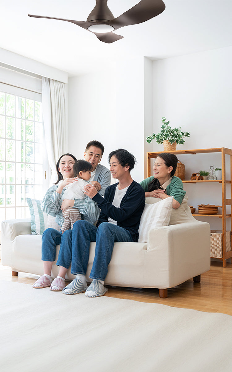 To be a Fan Specialist and Professional who improves Indoor Air Quality in residence by providing premium products for contributing to society. Image