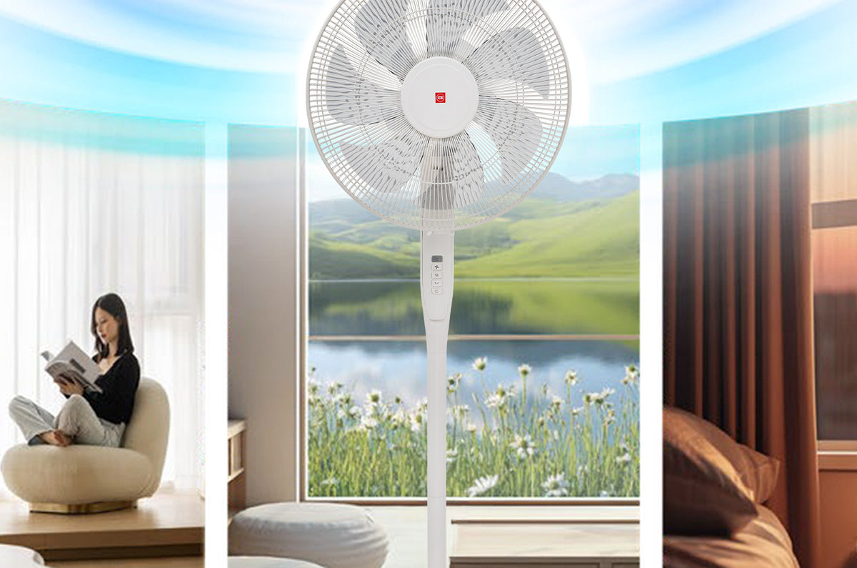 Nature-Inspired Comfort