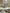 360° Oscillation