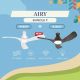 Airy Bundle F